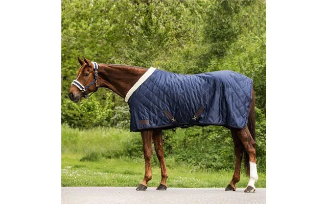 Waldhausen Exclusive Travel Rug - Night Blue 125cm product image