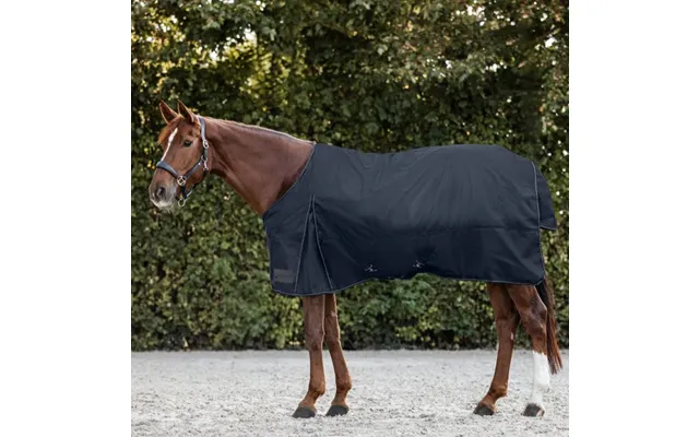 Waldhausen Nordic 100g Turnout Rug - Night Blue 125cm product image