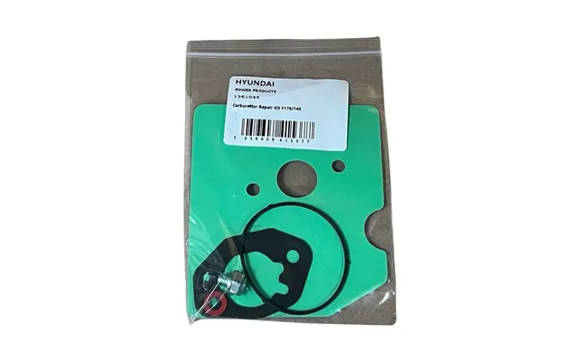Carburettor Repair Kit Y170 145