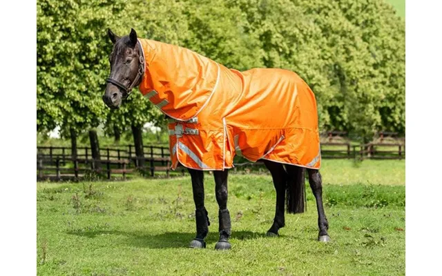 0g Detachable Neck Turnout Rug - Orange