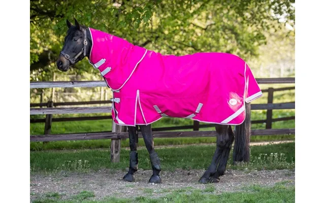 0g Detachable Neck Turnout Rug - Pink product image
