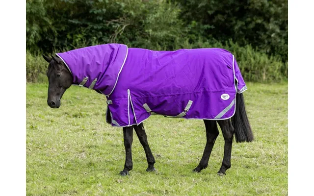 0g Detachable Neck Turnout Rug - Purple