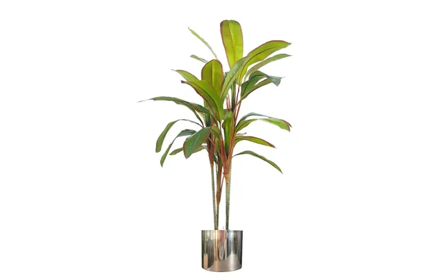 100cm Artificial Realistic Dracaena Tropical Plant With Silver Metal Plater product image