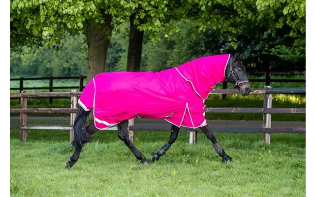 100g Detachable Neck Turnout Rug - Pink product image