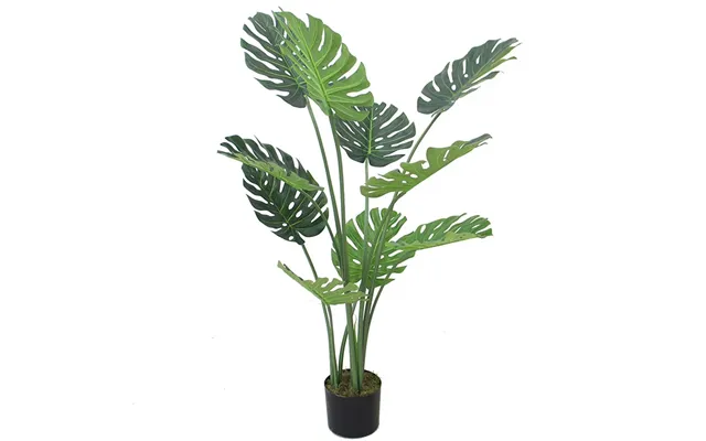 120cm 4ft Luxury Monstera Plant Black Pot