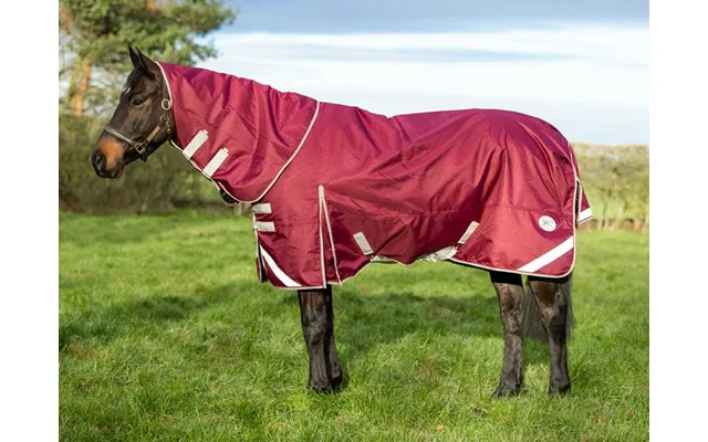 200g Detachable Neck Turnout Rug - Burgundy