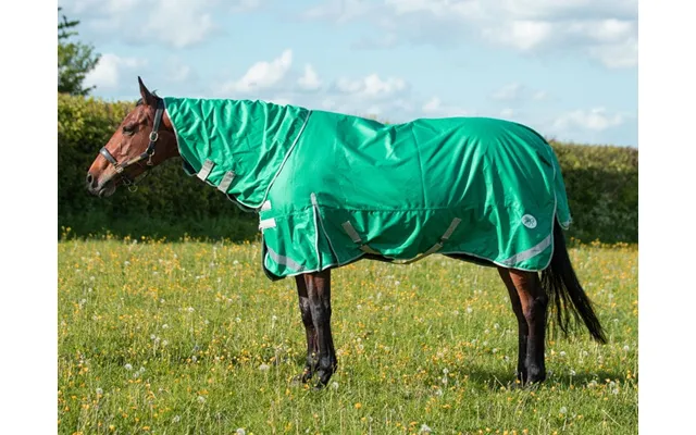 200g Detachable Neck Turnout Rug - Green