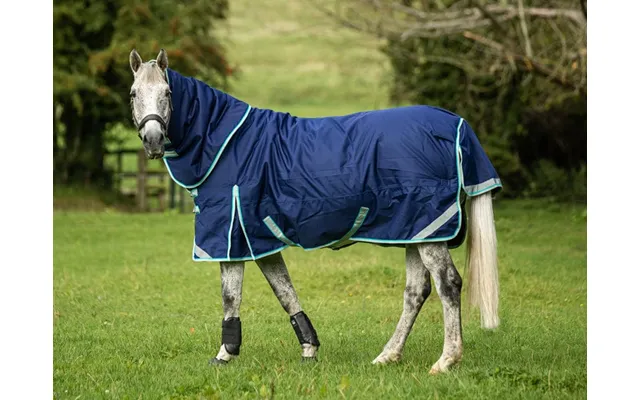 200g Detachable Neck Turnout Rug - Navy