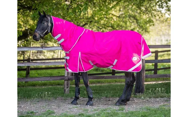 200g Detachable Neck Turnout Rug - Pink product image