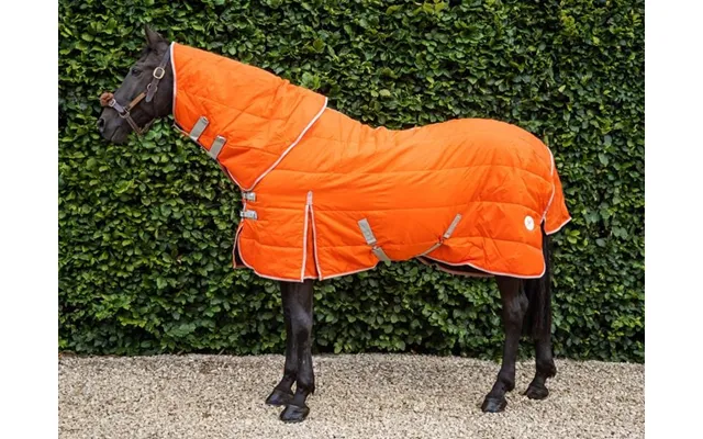 200g Stable Rug With Detachable Neck - Orange product image