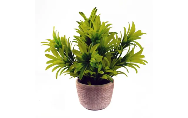 22cm Foliage Honey Plant Realistic & Vibrant Green In Terracotta Pot