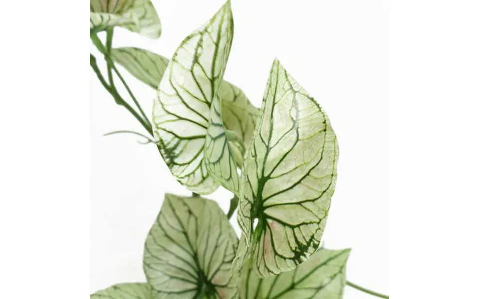 30cm Artificial Trailing Plant Realistic Variegated Potted Alocasia