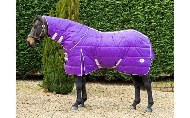 400g Detachable Neck Stable Rug - Purple product image