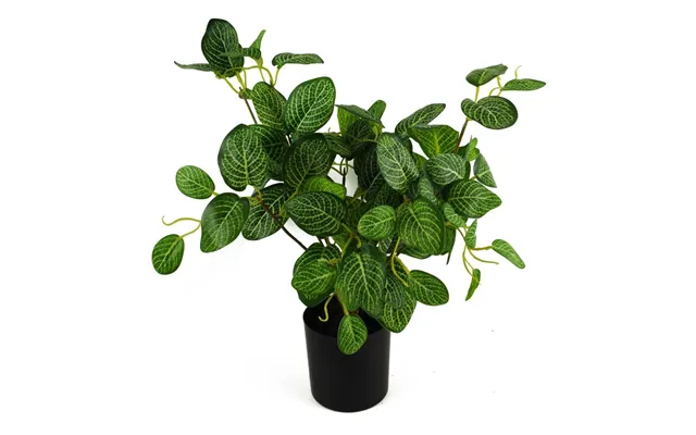 40cm Artificial Variegated Pothos Plant product image