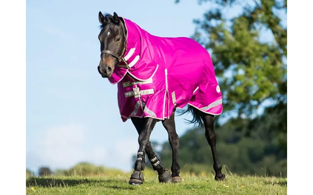 450g Ultimate Fixed Neck Turnout Rug - Mulberry