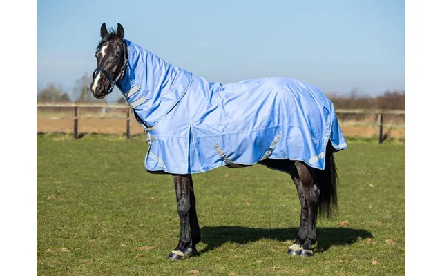 50g Detachable Neck Turnout Rug - Cornflower