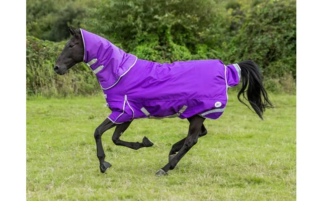 50g Detachable Neck Turnout Rug - Purple