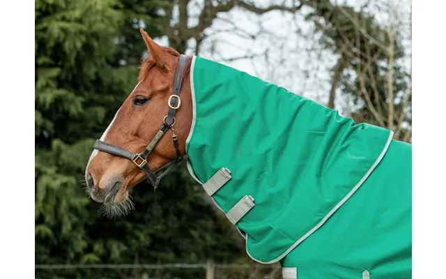 50g Green Turnout Rug Neck Cover - X-large