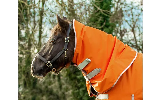 50g Orange Turnout Rug Neck Cover - Medium