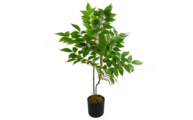 65cm Artificial Toona Sinensis Plant Evergreen