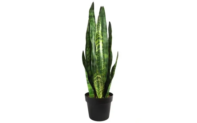 70cm Artificial Sansevieria Zeylanica Plant