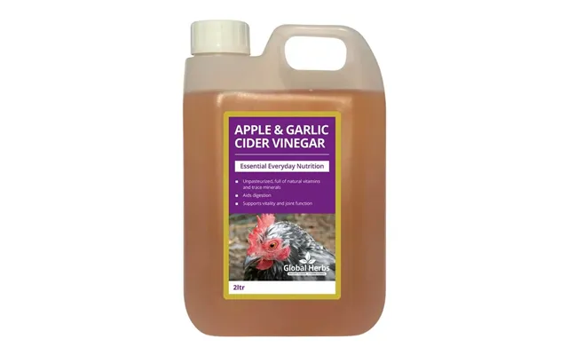 Apple Garlic Cider Vinegar - For Chickens