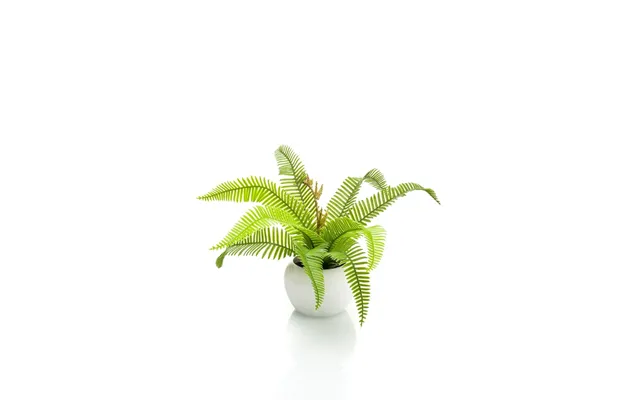 Artificial Boston Fern Potted Plant Green 17cm - Lifelike Indoor Decor