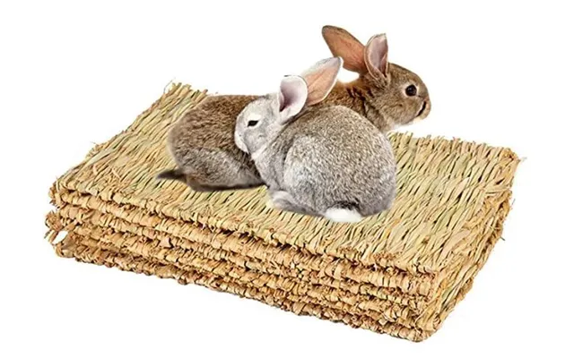 Boredom Grass Chill N Chew Mat