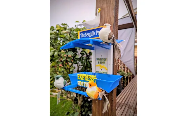 Brighton And Hove Garden Bird Feeding Station - Garden Decor And Wild Bird Food Feeder Gift For Albion Fan- Seagulls Sup