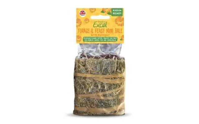 Burgess Excel Forage & Feast Mini Hay Bale - 100g