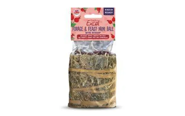 Burgess Excel Forage & Feast Mini Hay Bale Rosehip - 100g