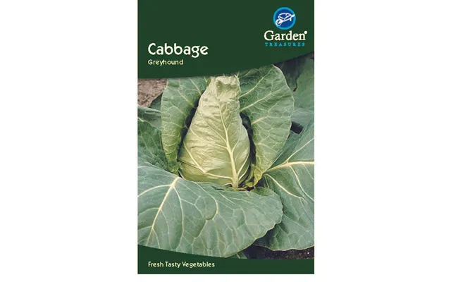 Cabbage Greyhound Approx. 310 Seeds