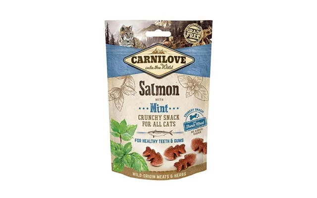 Carnilove Salmon With Mint Cat Treats 10 X 50g