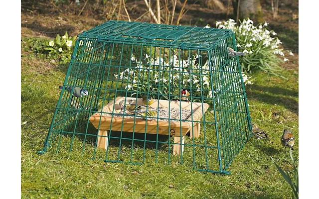 Cj Ground Guard Large Mesh Green
