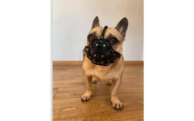 Dog Muzzle For French Bulldog Frenchies A Other Similar Snouts Short Snout - Red 2