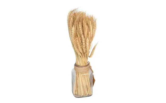 Dried Barley Bouquet In Glass Jar 40cm