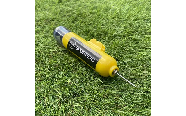 Dual Action Ball Pump