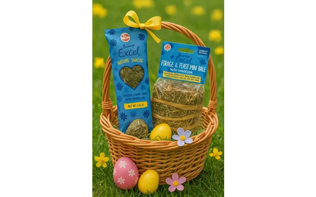 Excel Springtime Cornflower Bundle