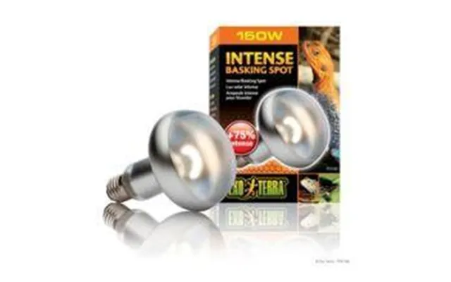 Exo Terra Intense Basking - 150w