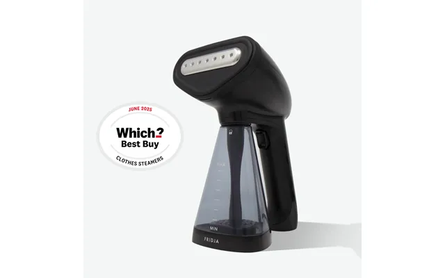 F10 Handheld Clothes Steamer - Black