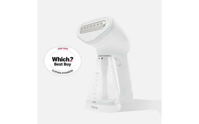 F10 Handheld Clothes Steamer - White