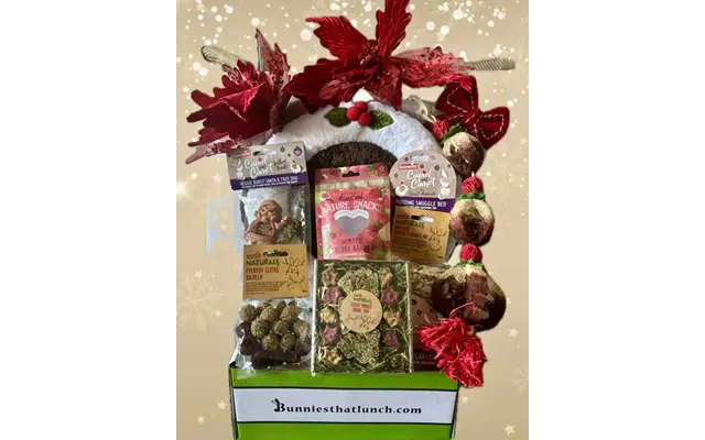 Gold Bunny Christmas Special Box