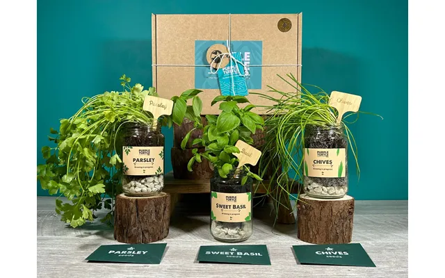 Grow Your Own Herbs Gift Set - Set Of 3 Gift Box