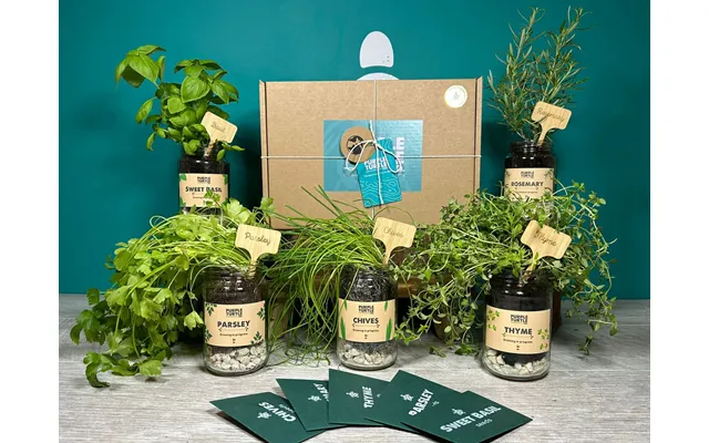 Grow Your Own Herbs Gift Set - Set Of 5 Gift Box