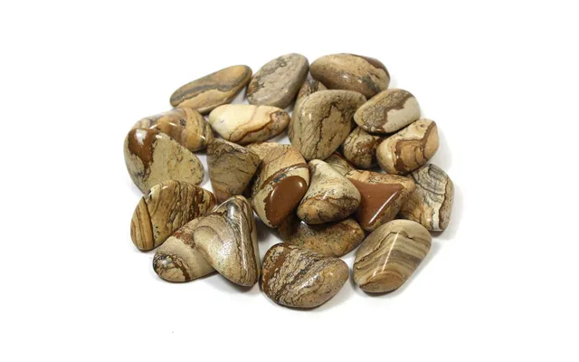 Landscape Jasper Polished Collectible Precious Stone