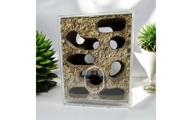 Lilliphut Amazing-a-maze Kit - Amazing Kit