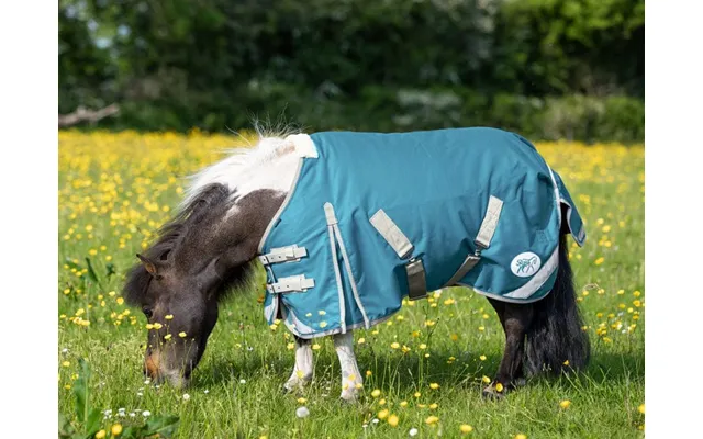 Mini 0g Turnout Rug - Turquoise