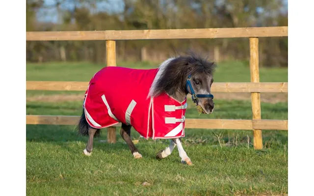 Mini 200g Turnout Rug - Red
