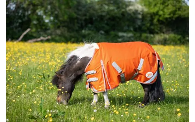 Mini 50g Turnout Rug - Orange
