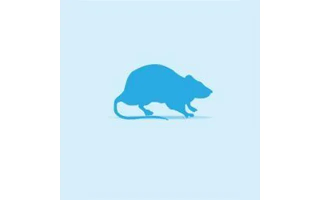 Monkfield Rat - Small